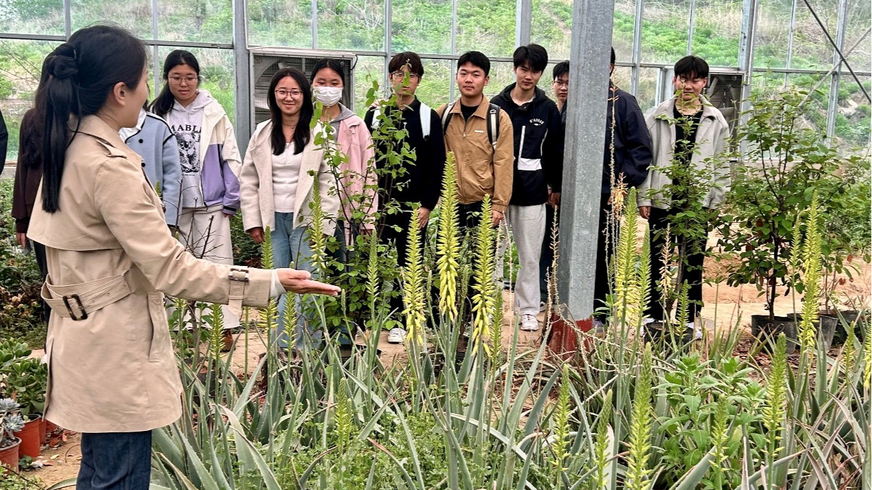 一群人在草地上AI 生成的内容可能不正确。