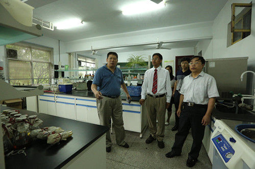 muqiang2.JPG